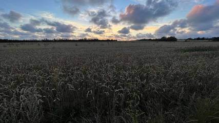 Bungalow für 7 Personen in Henne Strand, Dänemark an der Nordsee, Bild 1
