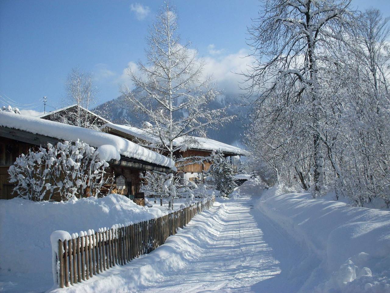 Gästehaus Schiffmann - Doppelzimmer in Bayerische Alpen