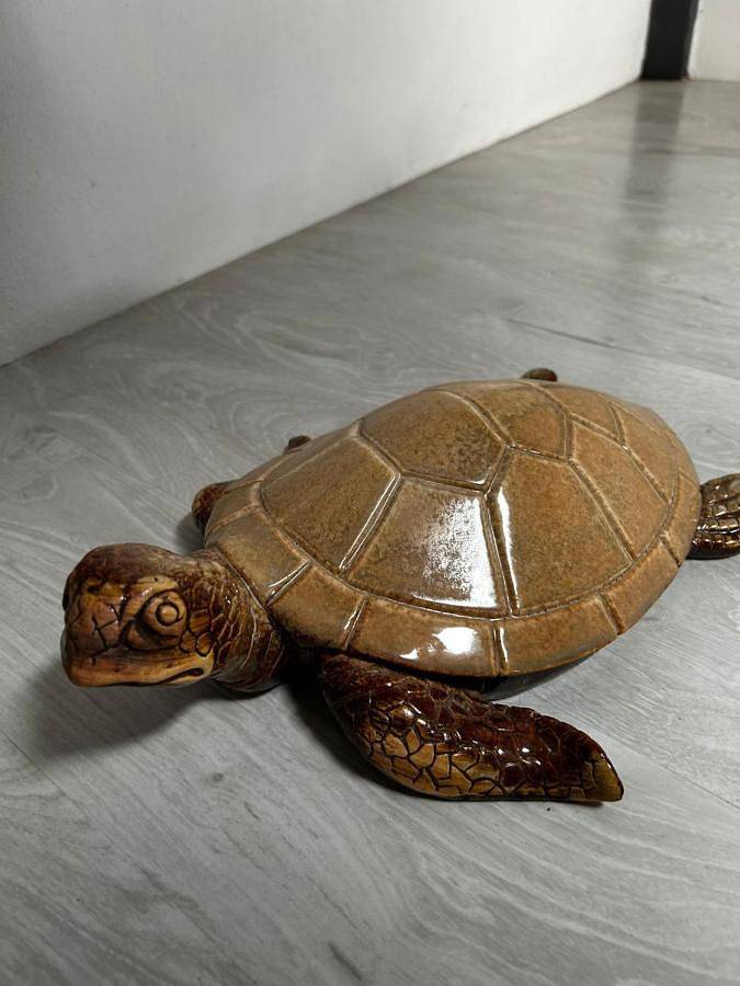 Location de vacances pour 6 personnes, avec terrasse à La Désirade (île) - 3