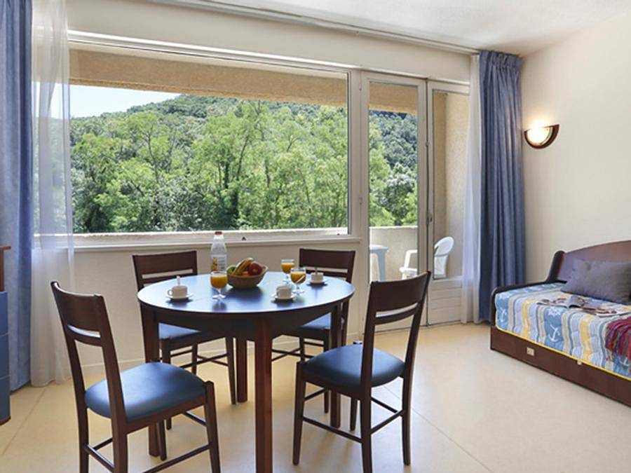 Résidence Le Domaine de Chames - Vacancéole - Studio 4 personnes - Avec coin nuit 4 personnes in Vallon-Pont-d'Arc, Ardèche