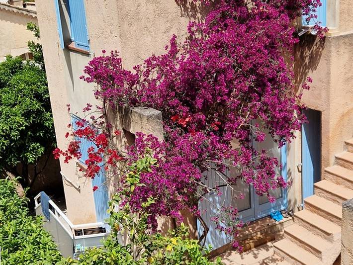 Ferienwohnung für 3 Personen, mit Terrasse und Garten in Hyeres - 2