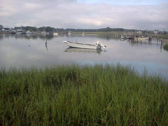 Ferienhaus für 6 Personen, mit Haustier - 1