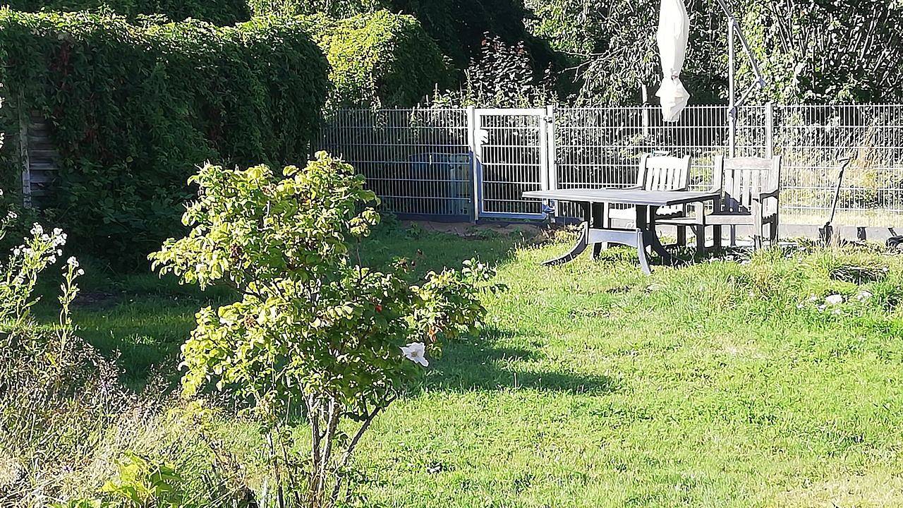 Ganze Ferienwohnung, Ferienwohnung für 4 Personen (75 m²) in Wittenburg in Wittenburg, Mecklenburgisches Elbetal