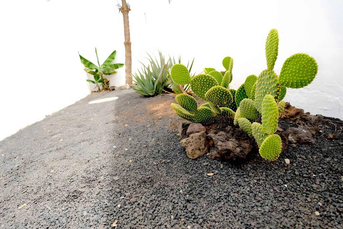 Ganze Wohnung, Casa Kalendra Rofe – Authentisches Lanzarote direkt am Meer in Los Cocoteros, Teguise