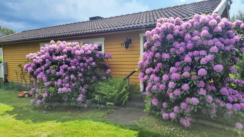 Se02120 in Halland