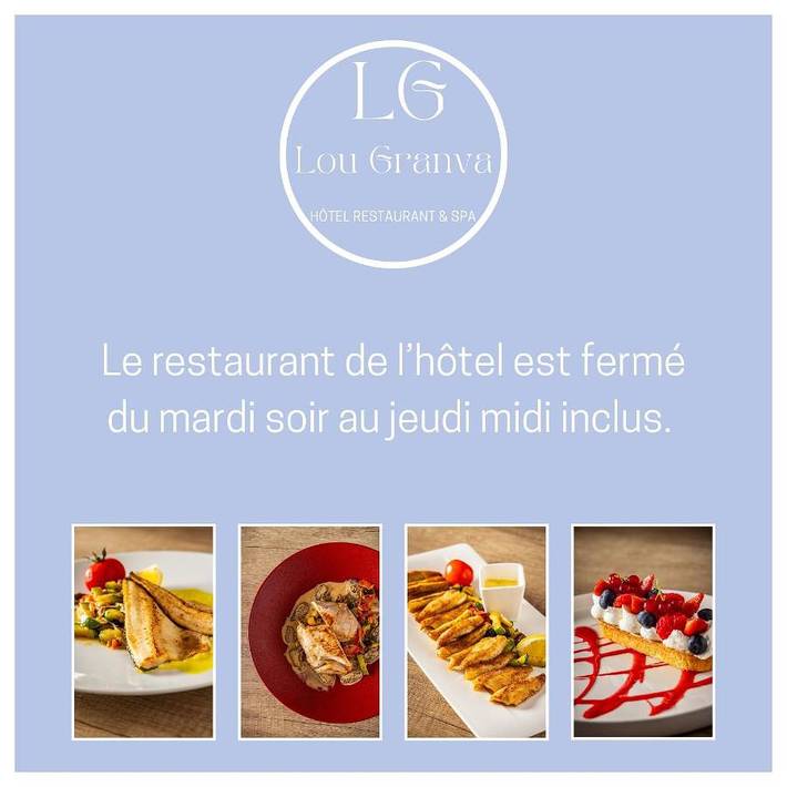 Hôtel pour 3 personnes, avec piscine et jacuzzi ainsi que sauna et jardin à Grande-Rivière - 2