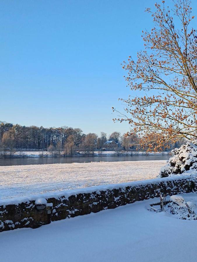 Ferienhaus für 2 Personen, mit Terrasse und Garten, mit Haustier in Loschwitz - 3