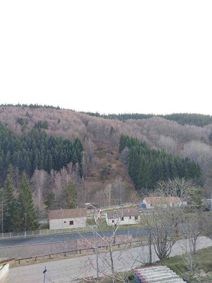 Location de vacances pour 3 personnes à Saint-Cirgues-en-Montagne - 2