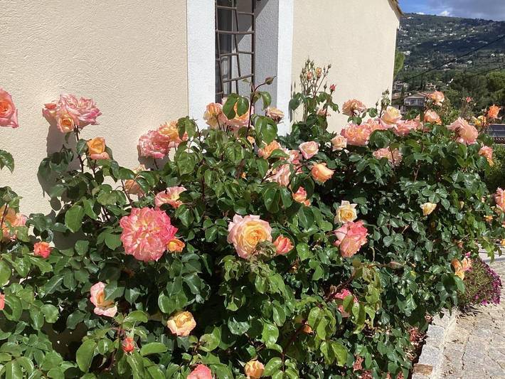 Location de vacances pour 4 personnes, avec piscine et vue ainsi que jardin et terrasse, adapté aux familles à Peymeinade - 2