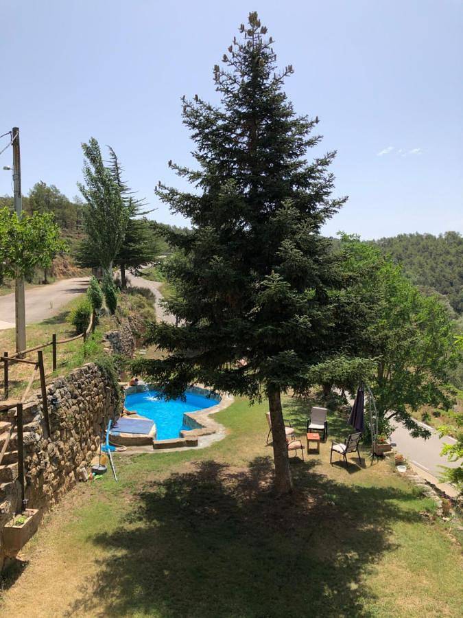 Casa de huéspuedes para 4 personas, con piscina para niños y piscina además de vistas y jardín, Se admiten mascotas en Provincia de Lleida - 2