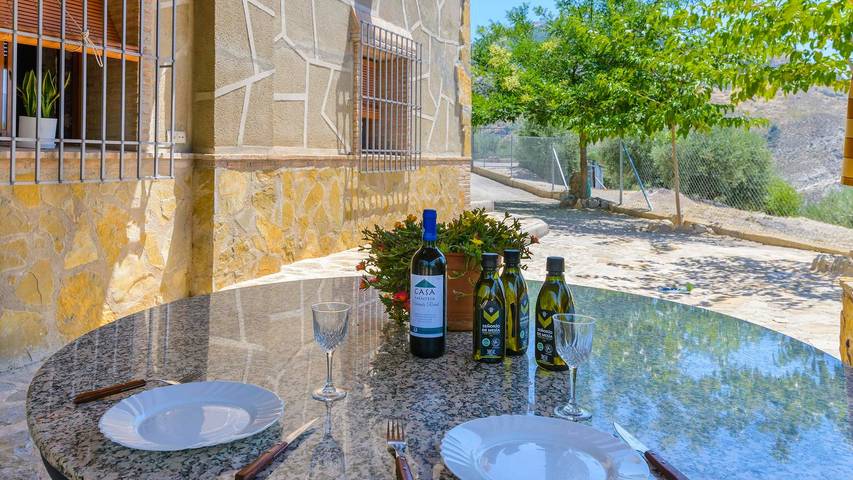 Chalet para 10 personas, con piscina en Comarca Metropolitana de Jaén - 4