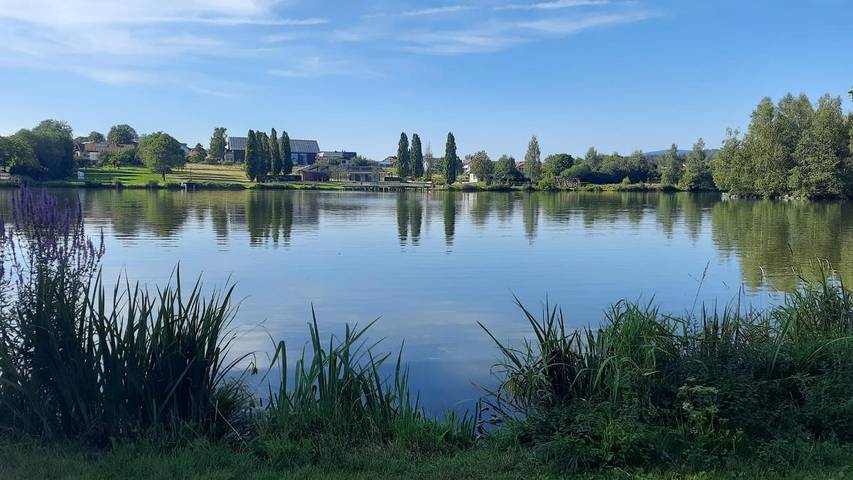 Ferienhaus für 4 Personen, mit Garten in Landkreis Freyung-Grafenau - 2