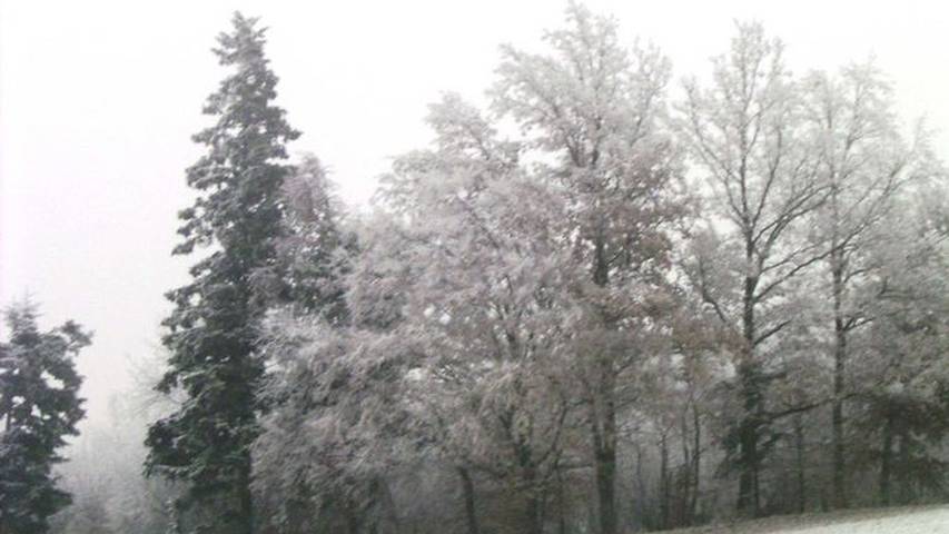 Ferienwohnung für 5 Personen, mit Garten und Ausblick sowie Sauna, mit Haustier in Seewalchen am Attersee