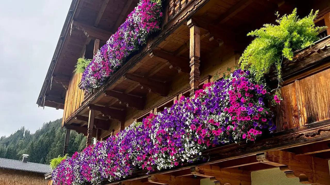 Geheel vakantieappartement, Vakantieappartement voor 2 personen met tuin in Alpbach, Kaisergebirge