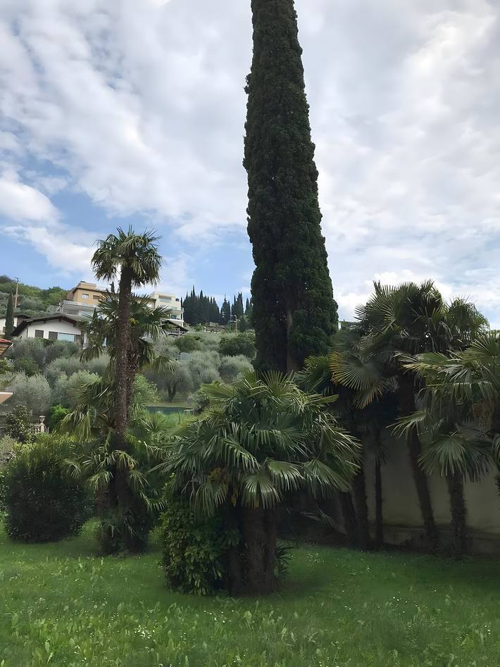 Ferienwohnung für 2 Personen, mit Garten und Balkon in Riva del Garda - 3