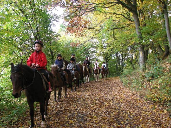 Bauernhof für 2 Personen, mit Balkon und Pool sowie Garten in Hessen - 4