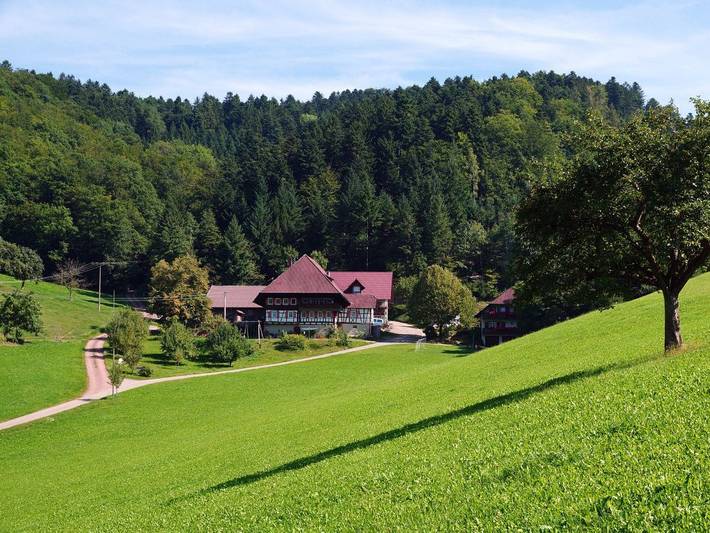 Ferienhaus für 2 Personen, mit Balkon/Terrasse und Garten in Mittlerer Schwarzwald - 4