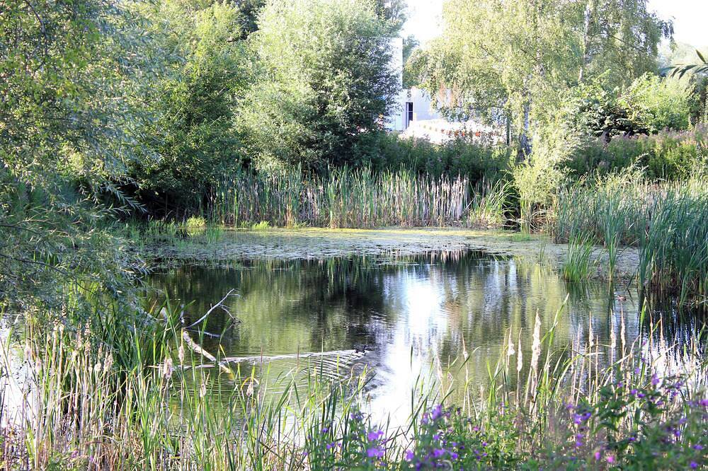 Ganze Wohnung, Ferienwohnung Teichrose Landurlaub an der Mecklenburgischen Ostseeküste in Heiligenhagen, Satow