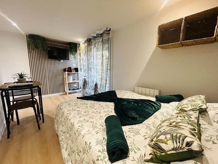 Gîte pour 2 personnes, avec terrasse à Les Ponts-de-Cé - 4