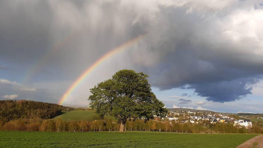 Ferienhaus für 4 Personen, mit Garten im Erzgebirge - 3