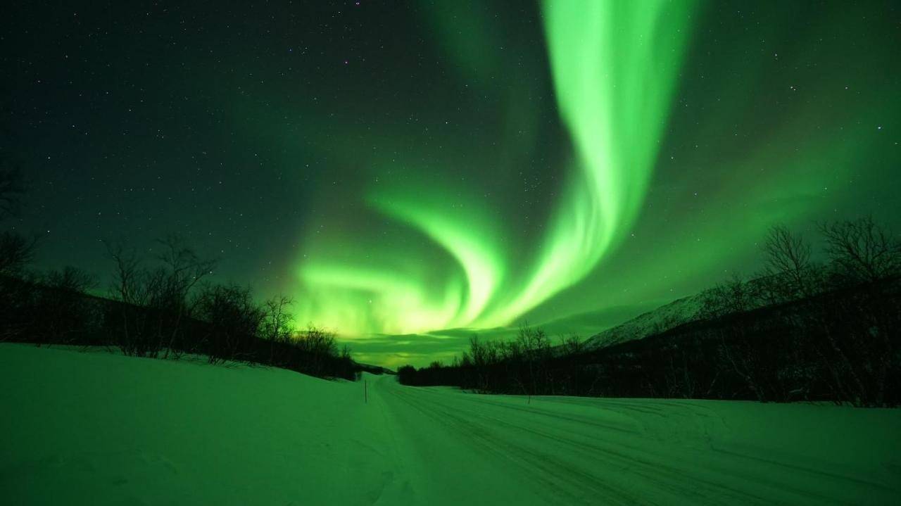 Arctic Aurora Borealis cottages in Laponia