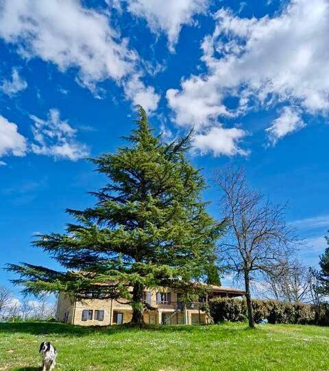Maison d’hôte pour 2 personnes, avec Balcon et Terrasse ainsi que Jardin et Piscine