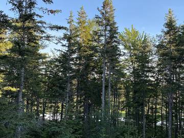 Vacation House for 8 Guests in Mount Desert Island, Maine, Picture 1