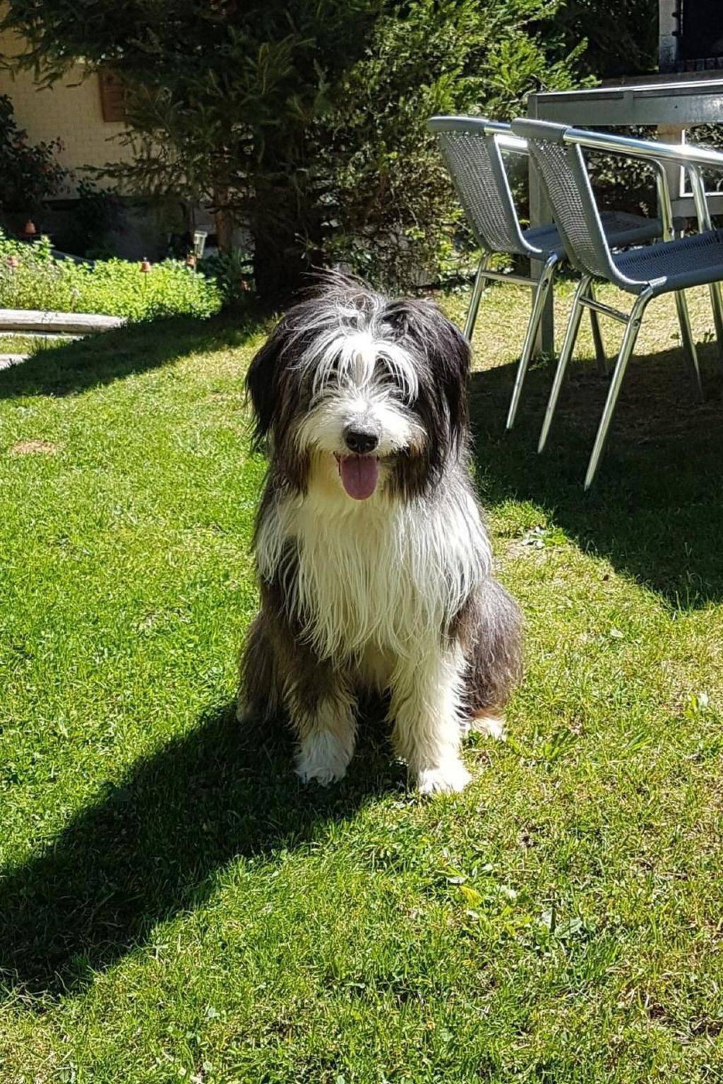 Ganze Wohnung, Biobauernhof Balm in Marbach, Kanton Luzern