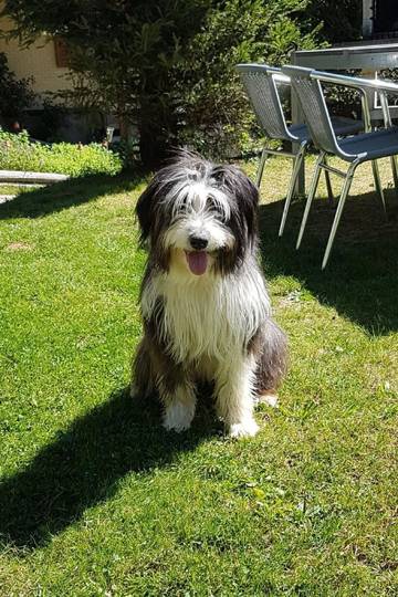 Ferienwohnung für 4 Personen in Marbach, Westalpen, Bild 1