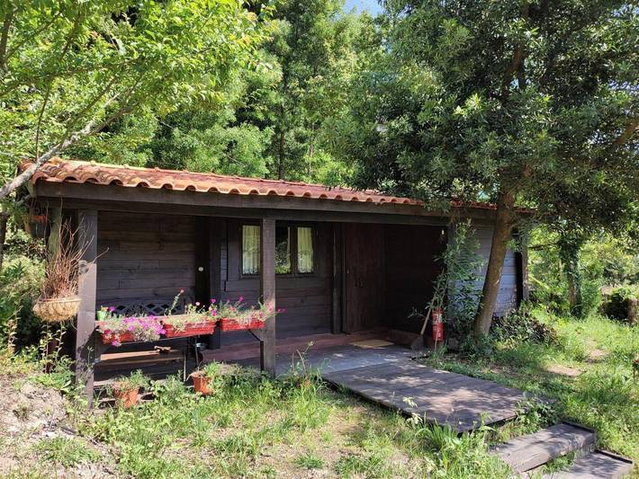 Gîte pour 2 personnes, avec jardin et vue, animaux acceptés dans Paredes de Coura - 4