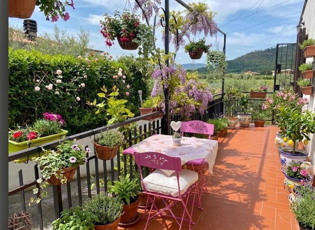 Villa Marco Aurelio in Cisano sul Neva, Riviera di Ponente