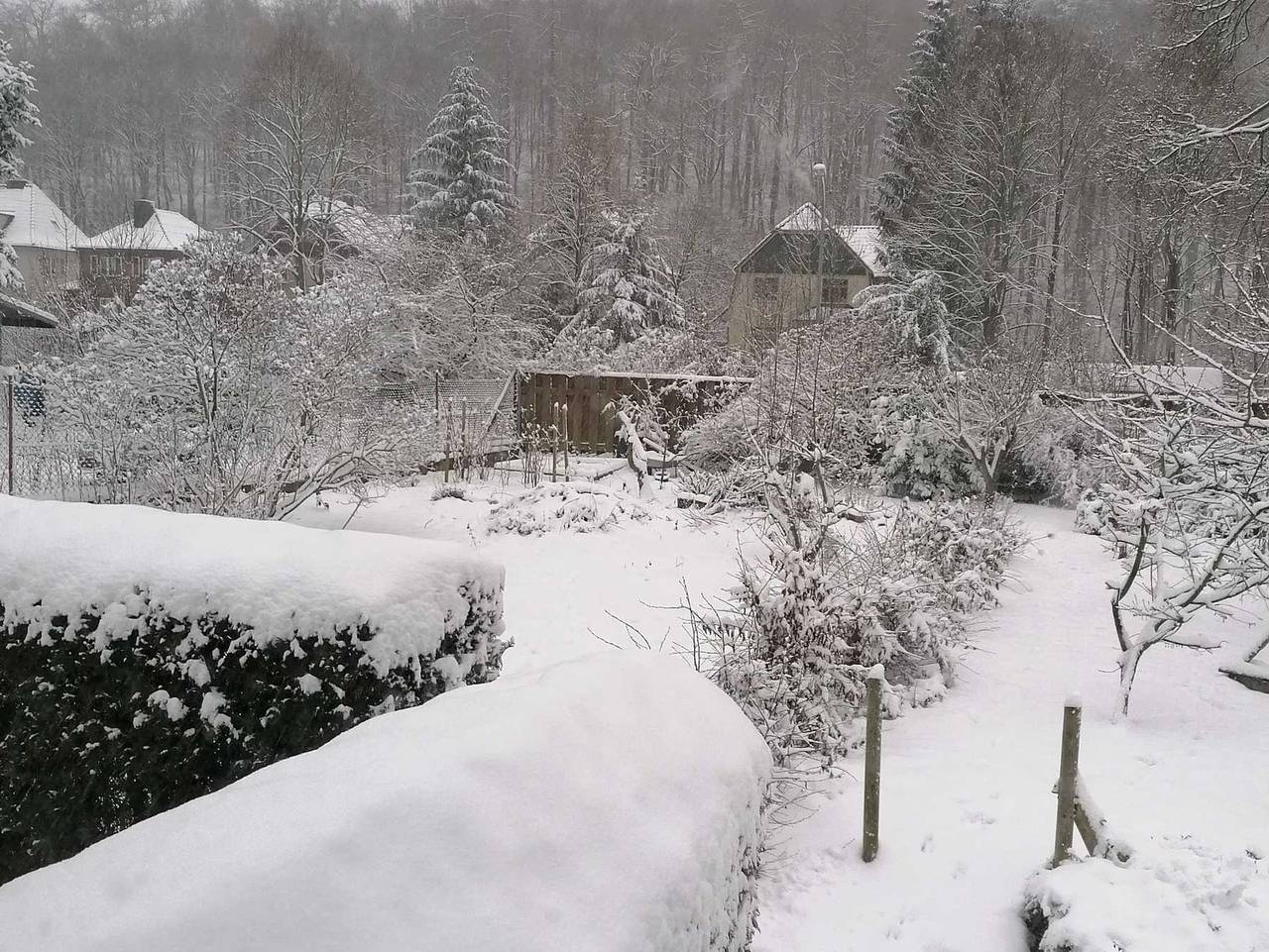 Ganze Ferienwohnung, Ferienwohnung Natur pur Mühlental Wernigerode - Ferienwohnung Natur pur in Wernigerode, Harzvorland