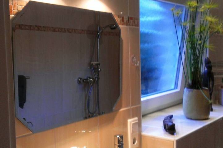 Ferienwohnung für 2 Personen, mit Garten und Terrasse, mit Haustier in Detmold - 4