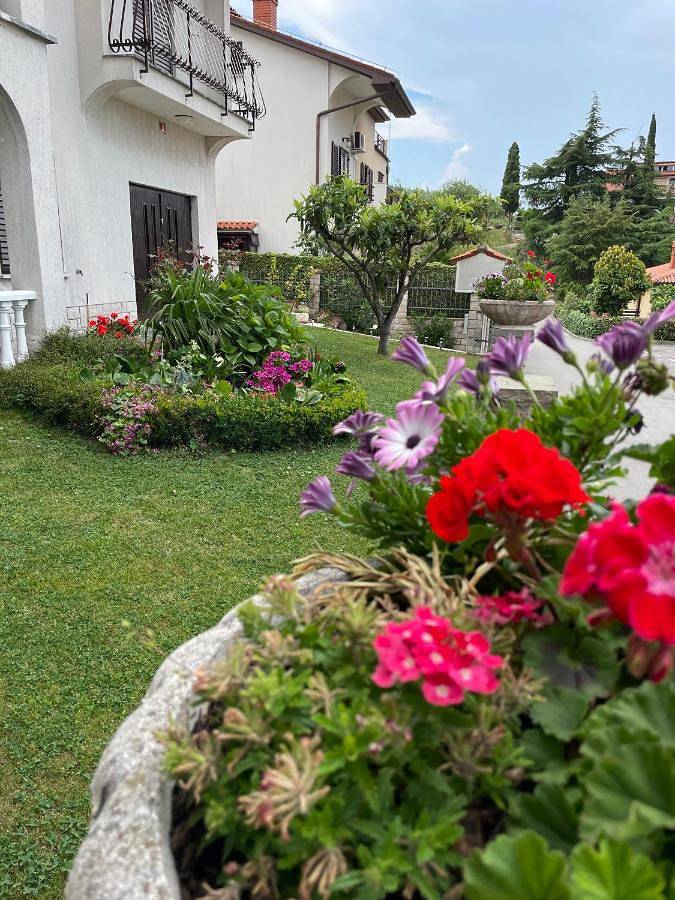Cały apartament, Apartments Vuk in Izola, Slovene Riviera