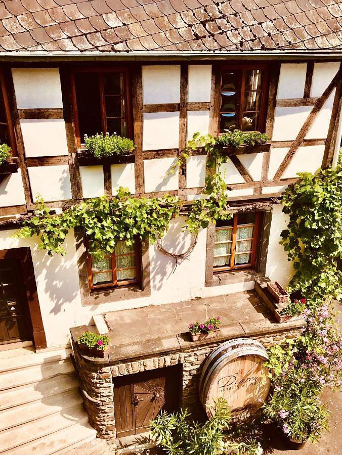 Hotel, mit Balkon und Terrasse sowie Sauna in Ellenz-Poltersdorf - 2