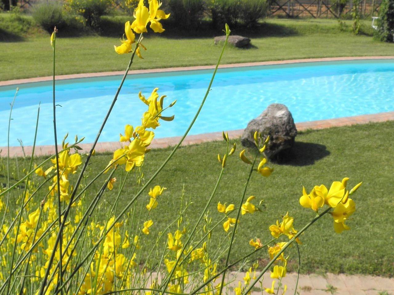 Ganze Wohnung, Wohnung in Santa Maria mit Whirlpool, Grill und gemeinsamem Pool in Monteleone d'Orvieto, Perugia Provinz