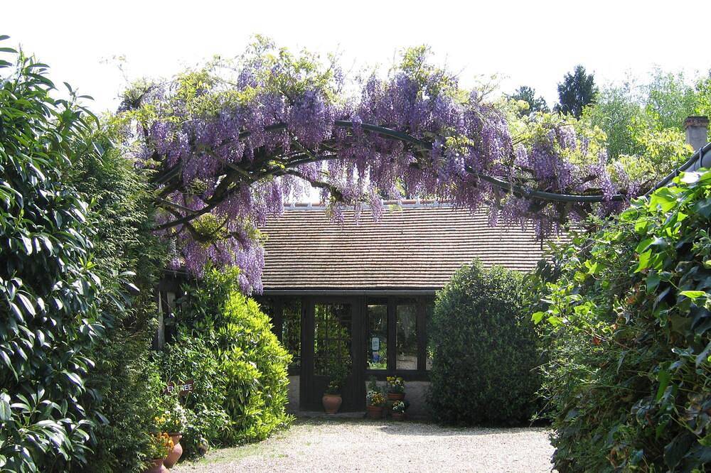 Gîte La Tanière du Goupil Sologne 2 to 4 persons in Nouan-le-Fuzelier, Sologne