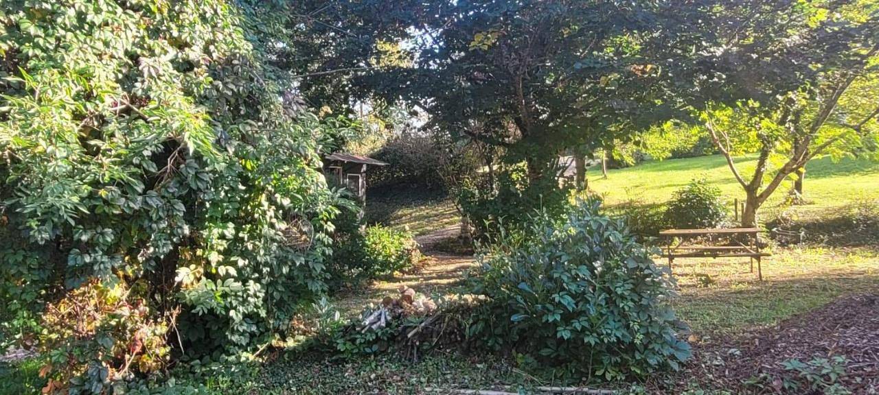 Appartement de vacances entier, Double Room with Terrace in Paulhiac, Région de Villeneuve-sur-Lot