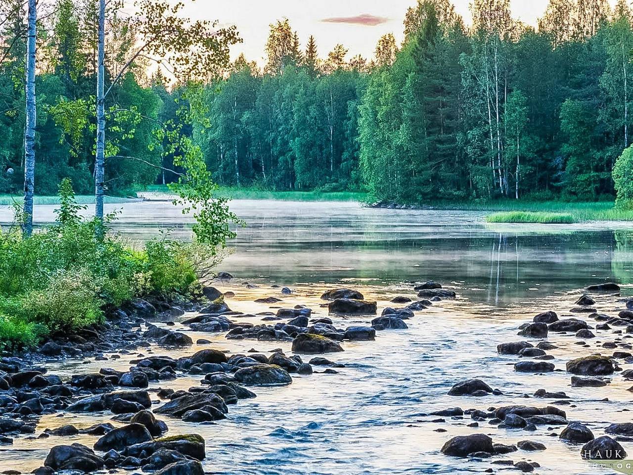 Niemenkärki, vaikon loma 8 in Vihtajärvi