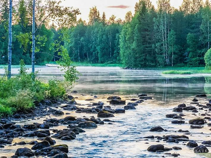 Niemenkärki, vaikon loma 8 in Vihtajärvi