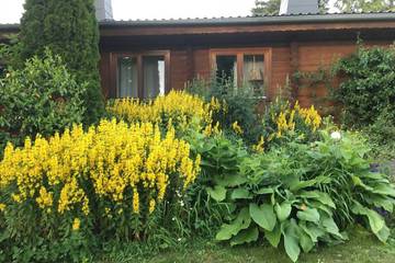 Ferienhaus für 4 Personen, mit Garten, mit Haustier in Edertal
