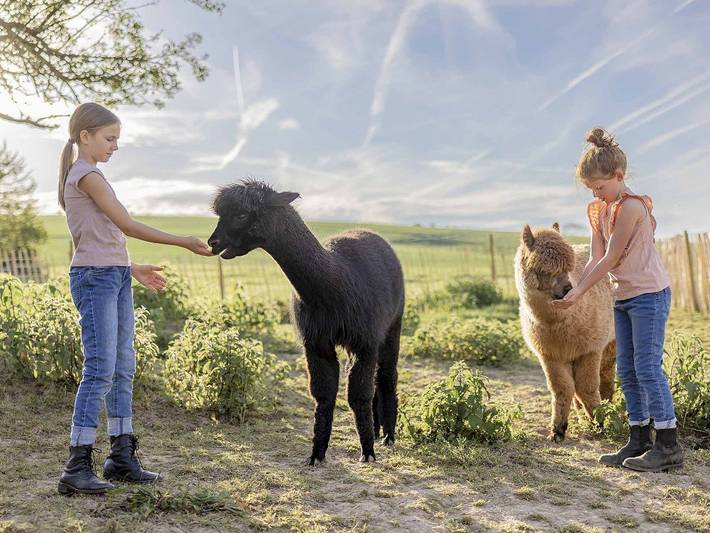 Bauernhof für 5 Personen, mit Garten und Sauna sowie Pool, kinderfreundlich