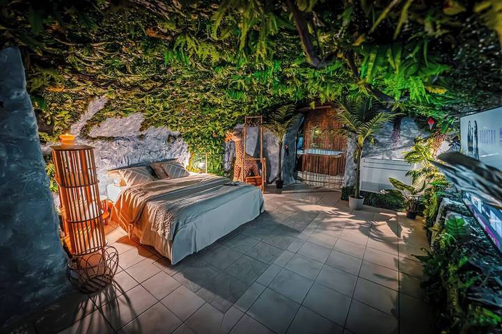 Appartement entier, Junglecavern – Spa privé, logement atypique in Albertville, Région d'Albertville