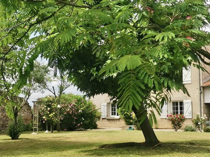 Chambre d’hôte pour 2 personnes, avec jardin et piscine dans Sauveterre-Saint-Denis