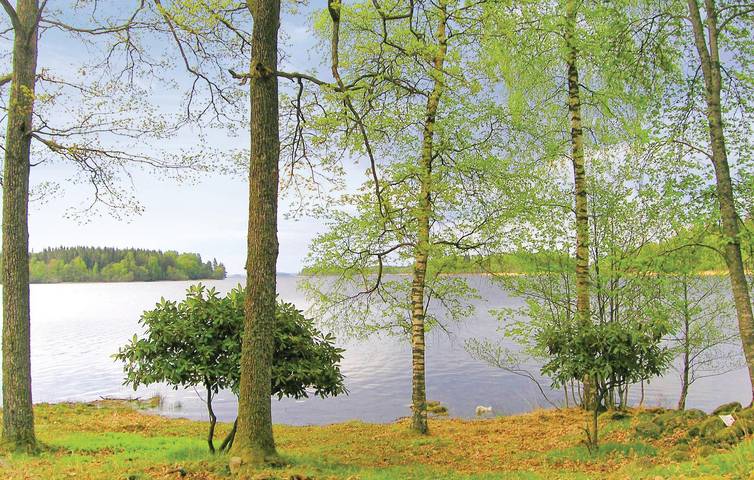 Ferienhaus für 5 Personen, mit Sauna und Terrasse am Bolmen - 2