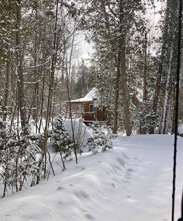 Romantic Log Cabin in the Woods - Hot Tub under the Stars -80 km's from Cn Tower in Georgina, Ontario