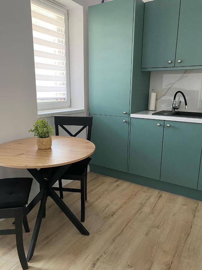 Gîte pour 4 personnes, avec balcon et jardin dans Baia Mare - 3