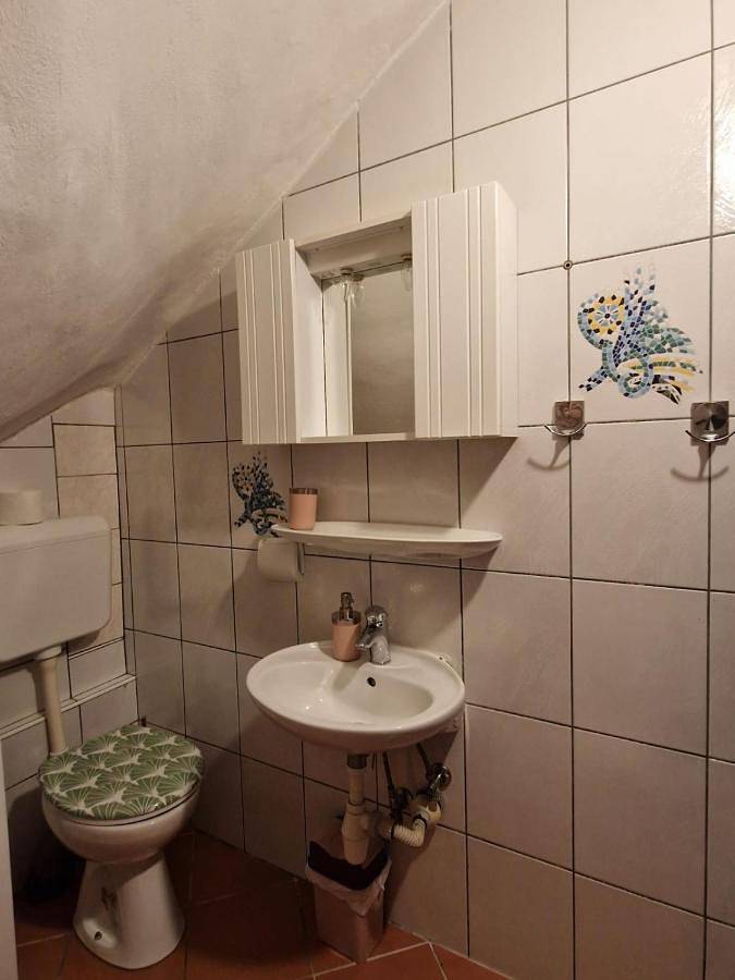 Gîte pour 3 personnes, avec jardin et vue dans Petrovija - 3