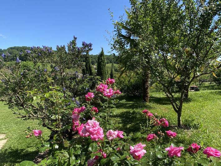 Location de vacances pour 3 personnes, avec jardin dans Massif central - 4