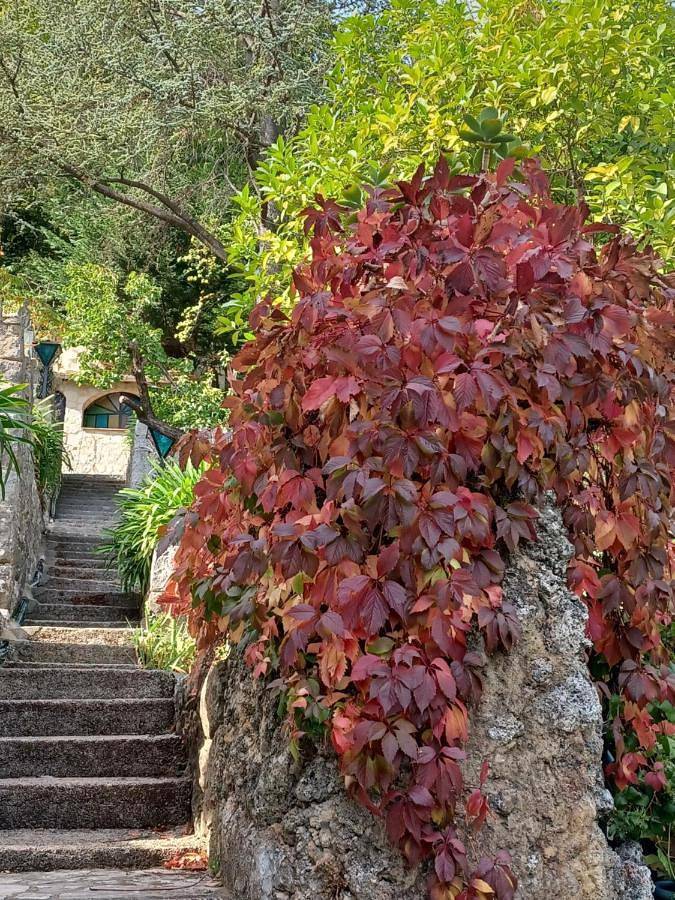 Gîte pour 2 personnes, avec Terrasse et Jardin ainsi que Piscine et Vue à Gourdon (Provence-Alpes-Côte d'Azur)